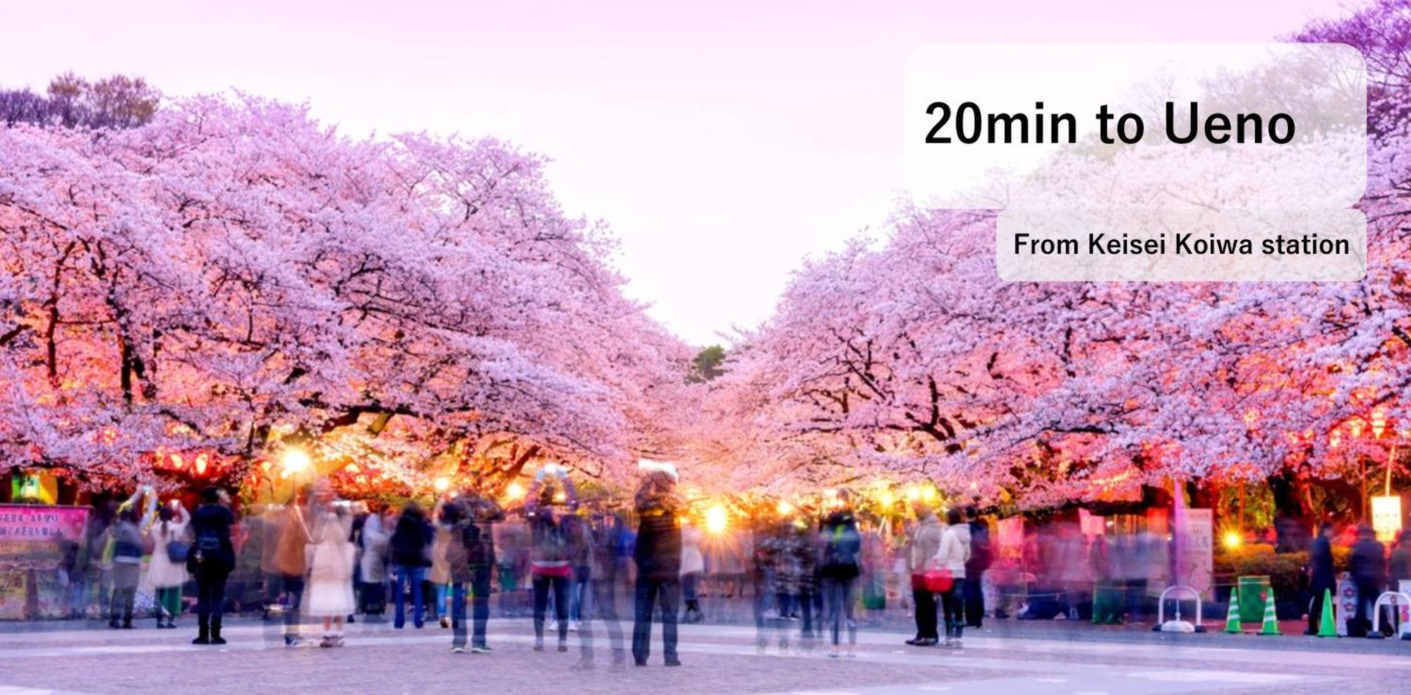 Asahistay -Koiwa, Free Parking O, Whole Family House, Japanese Garden Taste 東京都 外观 照片